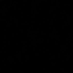 Meet your Posher, Michaela